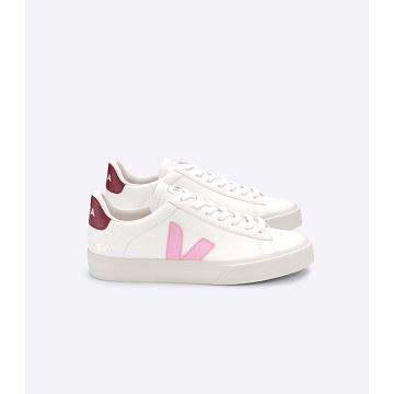 White/Pink Men's Veja CAMPO CHROMEFREE Low Tops Sneakers | AU 293YXF